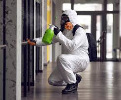 Mold Documentation for Insurance Claims in Central, TN